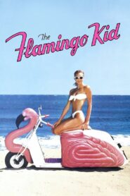The Flamingo Kid 1984 on netflix