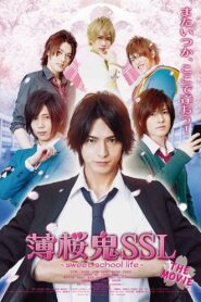 Hakuoki SSL~sweet school life~: THE MOVIE 2016 on netflix