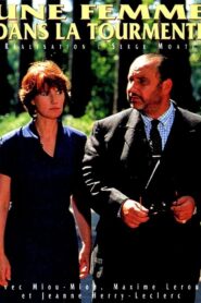 Une femme dans la tourmente 1995 on netflix
