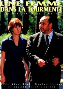 Une femme dans la tourmente 1995 on netflix