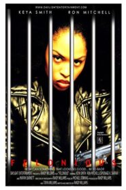 Felonious 2004 on netflix