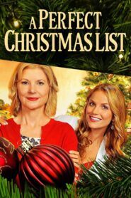 A Perfect Christmas List 2014 on netflix