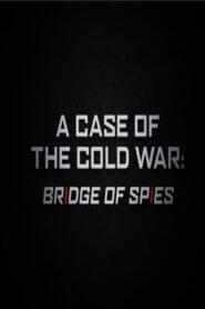 A Case of the Cold War: Bridge of Spies 2016 on netflix