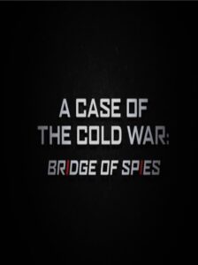 A Case of the Cold War: Bridge of Spies 2016 on netflix