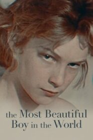 The Most Beautiful Boy in the World 2021 on netflix
