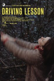 Driving Lesson 2015 on netflix