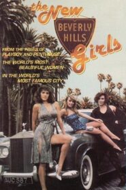 The New Beverly Hills Girls 1991 on netflix