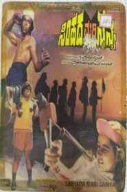 Simhada Mari Sainya 1981 on netflix
