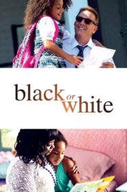 Black or White 2014 on netflix
