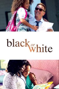 Black or White 2014 on netflix
