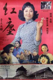 Unwelcome Lady 1994 on netflix