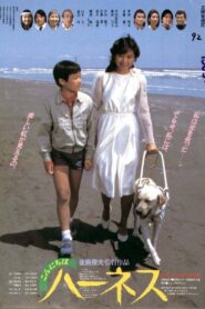 Konnichiwa Hânesu 1983 on netflix