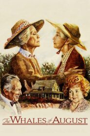 The Whales of August 1987 on netflix