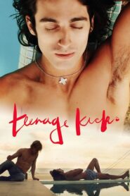 Teenage Kicks 2016 on netflix