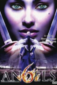 6 Angels 2006 on netflix