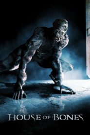 House of Bones 2010 on netflix