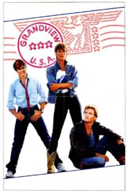 Grandview, U.S.A. 1984 on netflix