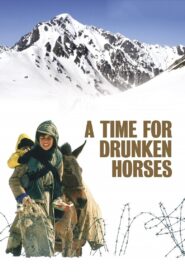 A Time for Drunken Horses 2000 on netflix