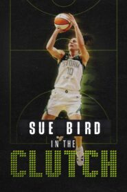 Sue Bird: In the Clutch 2024 on netflix