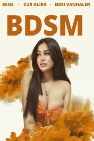 BDSM 2023 on netflix