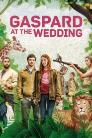 Gaspard at the Wedding 2018 on netflix
