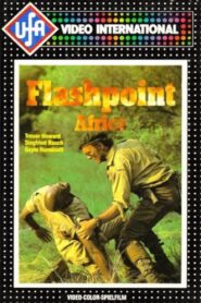 Flashpoint Africa 1980 on netflix
