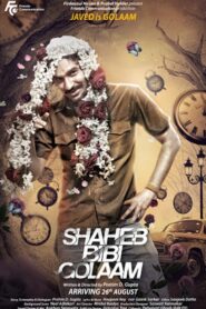 Shaheb Bibi Golaam 2016 on netflix