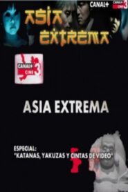 Katanas, yakuzas y cintas de video 2004 on netflix