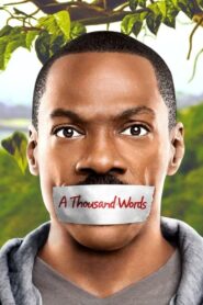 A Thousand Words 2012 on netflix