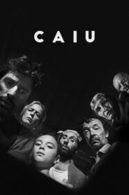 Caiu 2024 on netflix