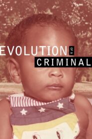Evolution of a Criminal 2014 on netflix