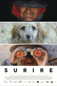 Surire 2015 on netflix
