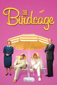 The Birdcage 1996 on netflix