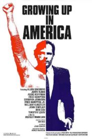Growing Up in America 1989 on netflix
