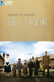 A Far Promise 2014 on netflix
