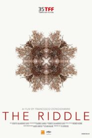 The Riddle 2017 on netflix