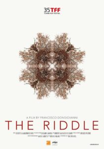 The Riddle 2017 on netflix
