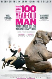The 100 Year-Old Man Who Climbed Out the Window and Disappeared 2013 on netflix