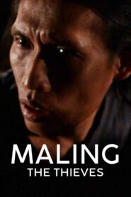 Maling 2013 on netflix