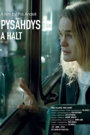 A Halt 2016 on netflix