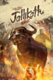 Jallikattu 2019 on netflix