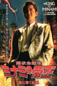 The King of Minami 24 2003 on netflix