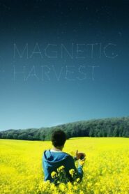 Magnetic Harvest 2019 on netflix