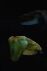Aliens From Inner Space 1983 on netflix