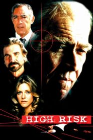 High Risk 1981 on netflix