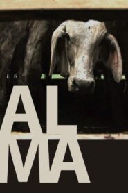 Alma 2011 on netflix