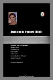 Asalto en la frontera 1989 on netflix