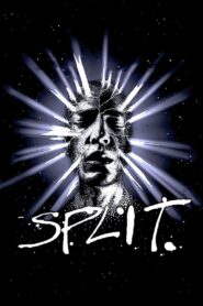 Split 1989 on netflix