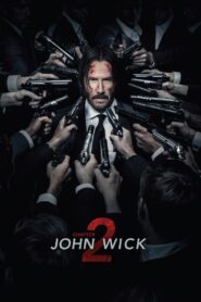 John Wick: Chapter 2 2017 on netflix