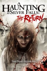 A Haunting at Silver Falls: The Return 2019 on netflix